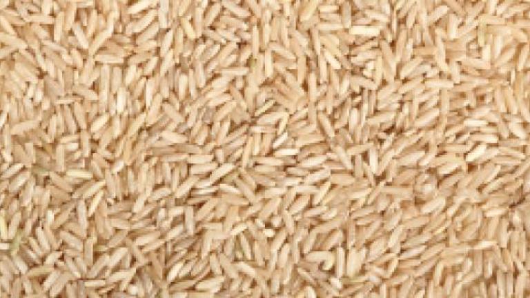 arroz-syngenta.jpg