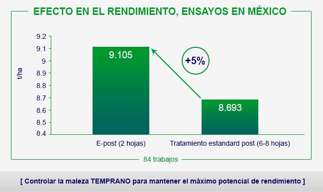 Syngenta